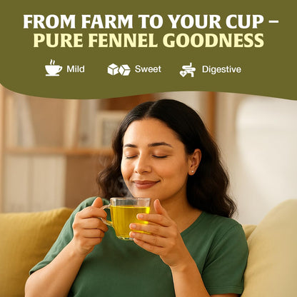 HANDPICK Fennel Tea (100 Teabags) Authentic Indian Origin Natural Grown