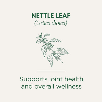 Traditional Medicinals Organic Nettle, 16 Tea Bags