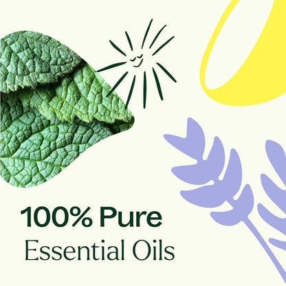 Plant Therapy Lemon, Lavender and Peppermint Essential Oil Set 10 mL (1/3 oz) 100% Pure, Undiluted, Therapeutic Grade