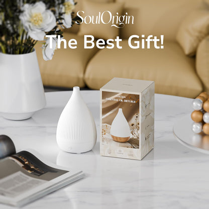 Ultrasonic Essential Oil Diffuser, Home Fragrance Aroma Diffuser with Auto Shut-Off, Color Change Night Light & Ultra-Quiet Operation, BPA-Free Portable Aromatherapy Humidifier for Home (Black)