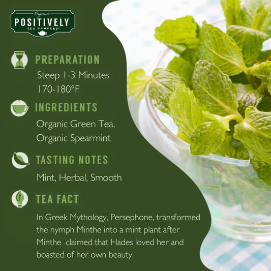 Positively Tea, Organic Spearmint Green Tea Bags, 20 Count