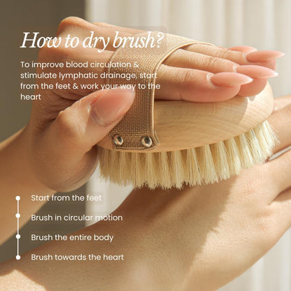 Bare Botanics 17" Dry Brushing Body Brush - Medium Firmness, Natural Color & Silicone Grip - Extra Long Bath Brush - Ergonomic Curved Handle Design w/Hang Rope - Back Scrubber for Shower