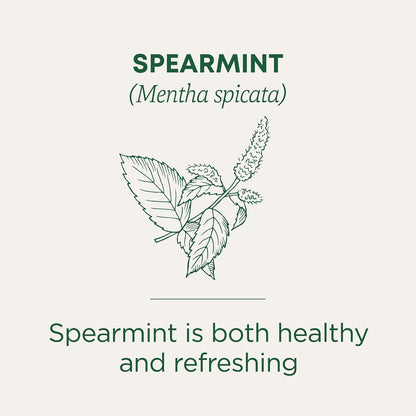 Traditional Medicinals Organic Spearmint, 96 Tea Bags