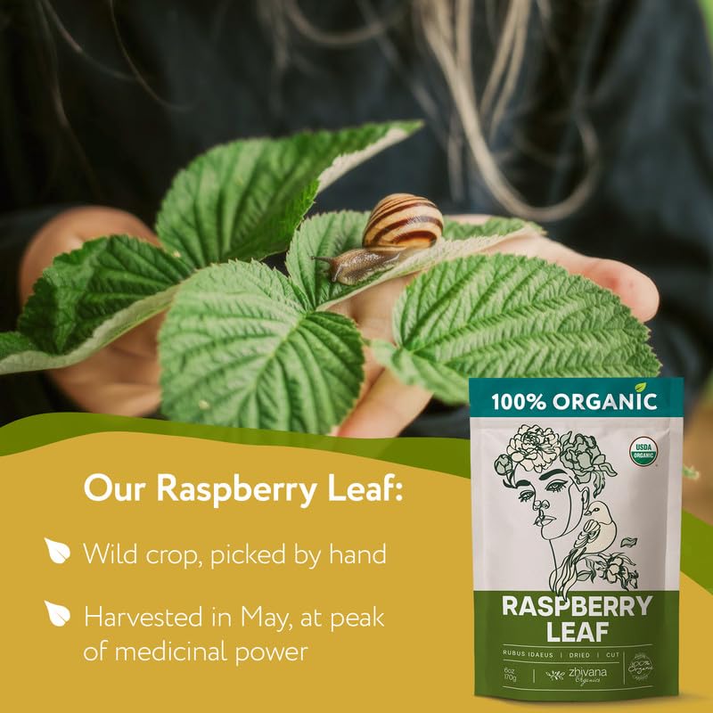 Organic Lemon Balm Leaves (4oz.) - Lemon Balm Tea Loose Leaf Organic - Melissa Tea - Te de Tolonjil - Natural Support for Stress Response, Sleep, Digestion