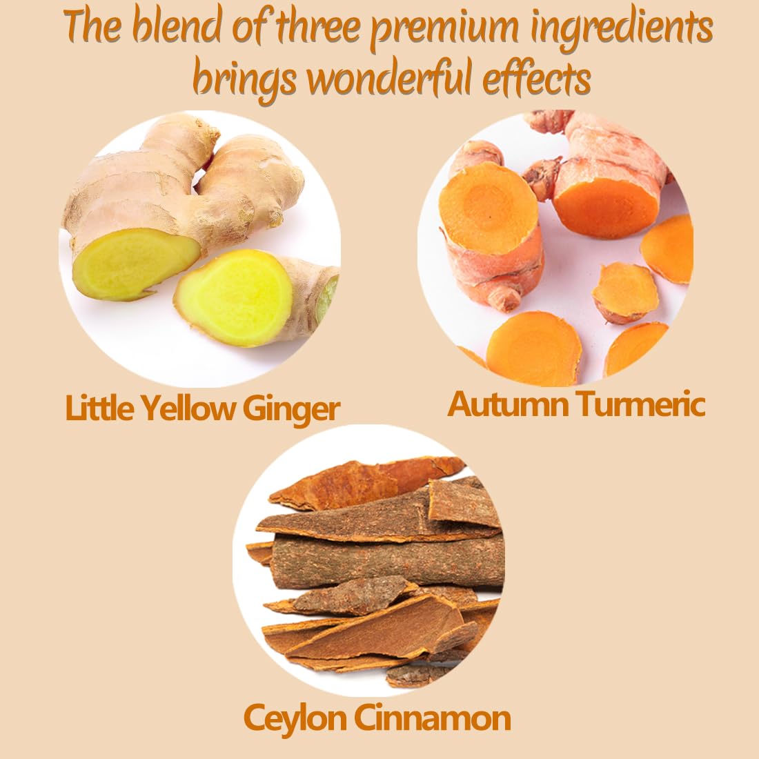 50 Premium Turmeric, Ginger, Cinnamon Blend Tea Bags, 100% Natural & No Additives & Caffeine Free.