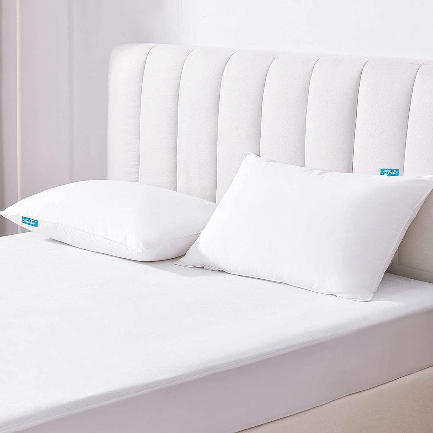 Pillow Protectors Waterproof 2-Pack, Standard Size with Zipper