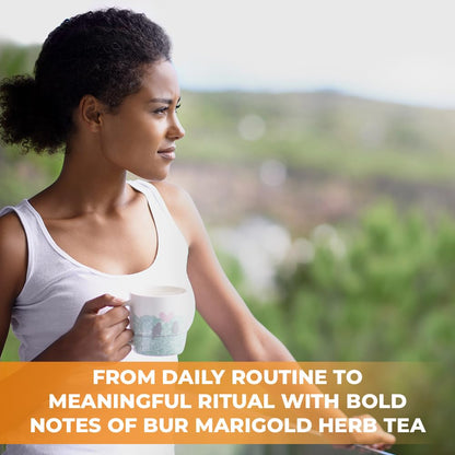 30 Bags Dried Marigold Bur Marigold Herb Tea Marygold Tea (Bidens Tripartita L.) - 30 Count 2 g Bags 100% Chereda Bur-Marigold Cáñamo Acuático