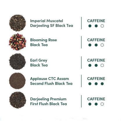 VAHDAM, Assorted Black Tea Loose Leaf Tea Gift Set (10 Flavors) Gift Ideas for Women & Men | Directly Sourced From Assam and Darjeeling | Resealable Ziplock Pouch