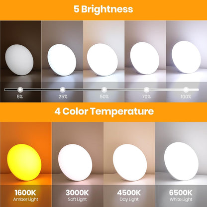 LASTAR Sun Lamp, 10,000 Lux Sunlight Lamp with 4 Color Temperatures & 5 Brightness & 1H Timer, Touch Control Daylight Lamp with Memory Function for Home