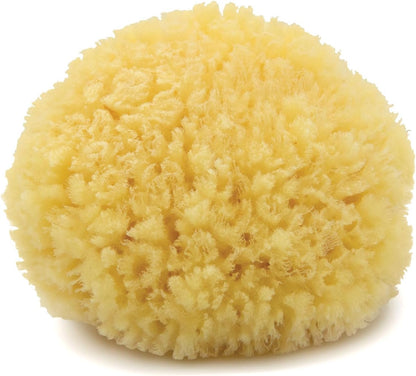 Neptune Caribbean Sea Sponge for Face & Body, Medium Approx. 5-6 Inch, Ultra-Soft Bath Sponge, Eco-Friendly & Biodegradable