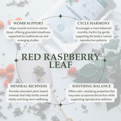 Organic Red Raspberry Leaf 4 oz. (113g), USDA Certified Organic Red Raspberry Leaf Tea Pregnancy, Loose Rasberry, Cut & Sifted