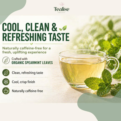 Organic Spearmint Tea Bags 100 Count – Spearmint Herbal Tea – Caffeine Free Mint Tea – Fresh, Smooth and Naturally Refreshing – Eco-Conscious Plant-Based Tea Bags by Tealise