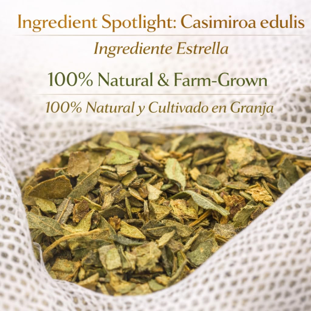 Zapote Blanco Herbal Tea (24 Tea Bags) - 2000mg per Bag - 100% Natural White Sapote Leaves from Mexico - Traditional Mexican Infusion - Caffeine-Free, Non-GMO, Vegan - Authentic Herbs by BEXPERTSUSA