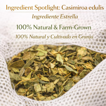 Zapote Blanco Herbal Tea (24 Tea Bags) - 2000mg per Bag - 100% Natural White Sapote Leaves from Mexico - Traditional Mexican Infusion - Caffeine-Free, Non-GMO, Vegan - Authentic Herbs by BEXPERTSUSA