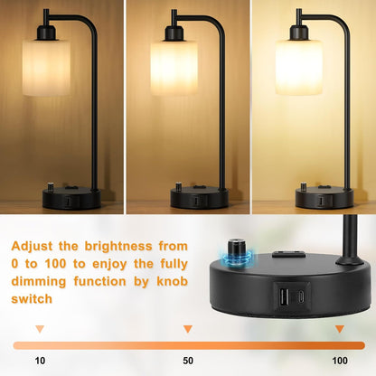 Industrial Table Lamps for Bedrooms Set of 2 - Fully Dimmable Bedside Lamps with USB A and C Ports and Outlet, Black Nightstand Lamps with Glass Shade for Living Room, Desk Lamps for Office Reading