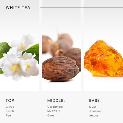Hotel Diffuser Oil Inspired by Ritz-Carlton Scent - Premium Fragrance Oil No. SA61119323 for Ultrasonic and Waterless Diffuser - 120 mL, 4 fl oz