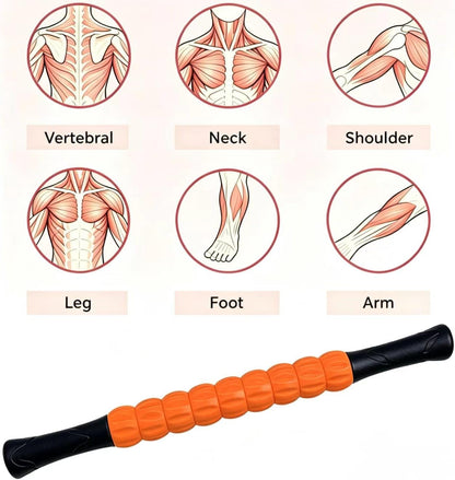 Muscle Roller Stick - A Full-Body Massage Roller that Can Relieve Muscle Soreness, Cramps and Tension After Exercise. It is a Handheld Physical Therapy and Recovery Tool（Black and Purple）