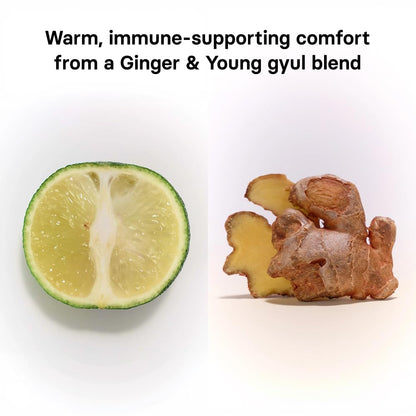 OSULLOC Ginger Young-Gyul Tangerine Green Tea, 20 Count, 1.27 oz
