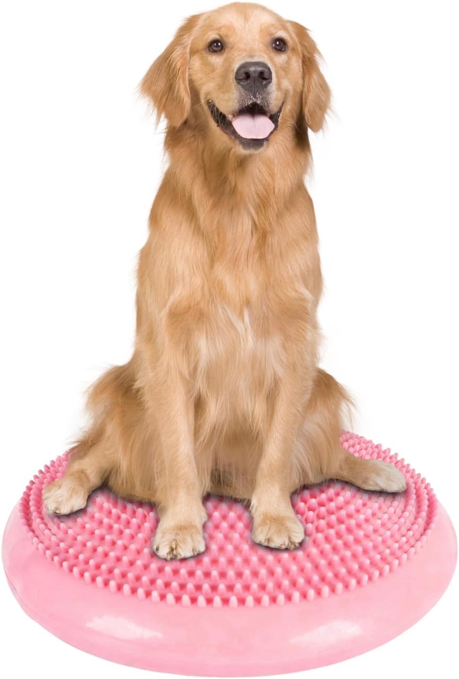 Dog Balance Disc 14", Dog Balance Equipment with Cushion and Pump, Pet Training Platform for Pet Rehabilitation Training, Strength Train Stability, Suitable for Small and Medium-Sized Pets