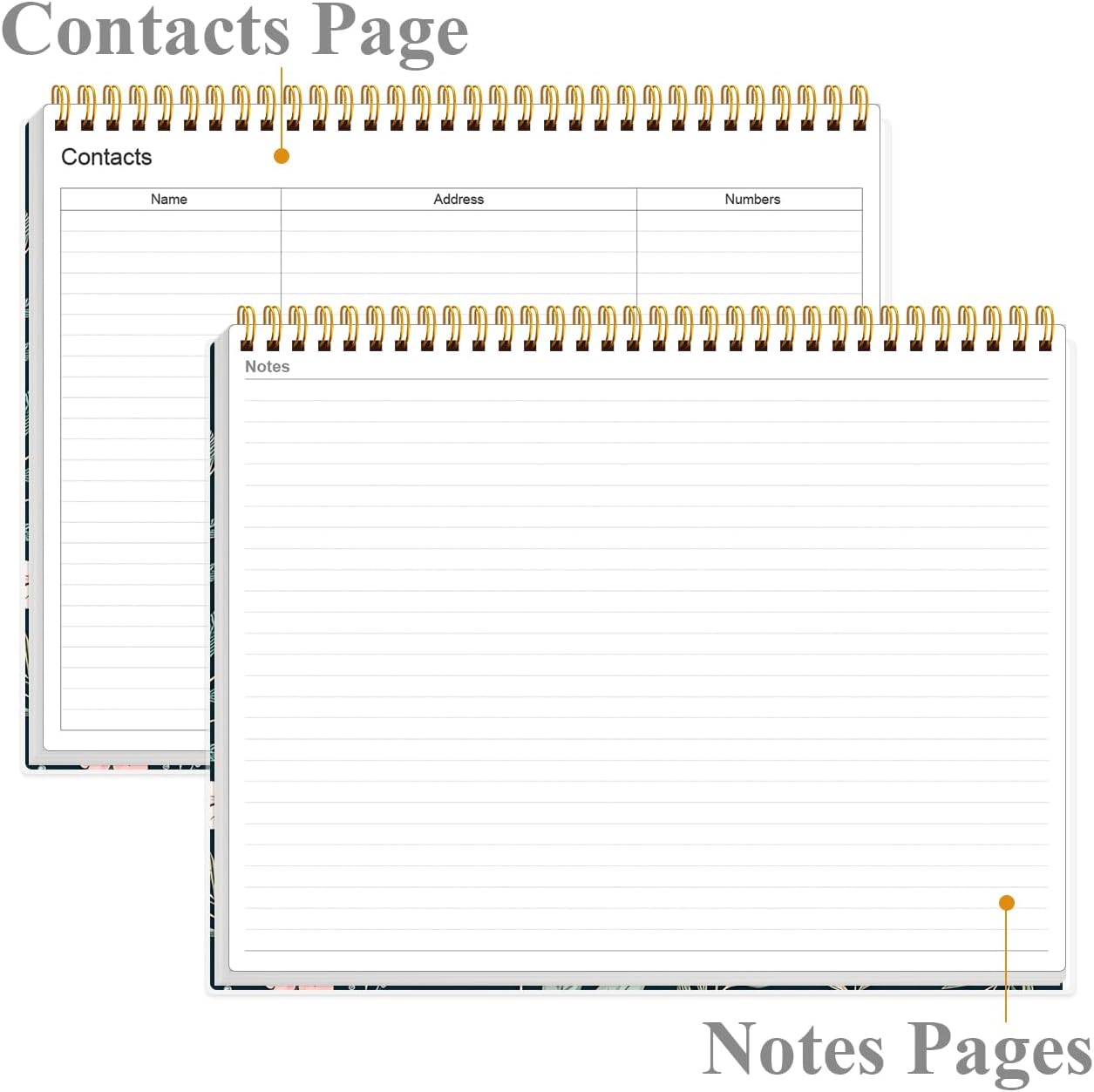 Weekly Productivity Planner - 8.5" x 11" Dashboard Desk Notepad Has 6 Focus Areas to List Tasks for Goals, Projects, Clients, Academic or Meal-Organize Your Daily Work Efficiently, 54 Weeks, Green