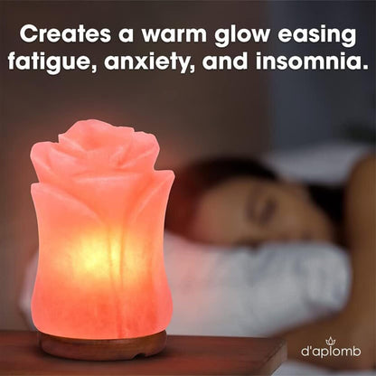 d'aplomb 100% Authentic Natural Himalayan Salt Lamp;Hand Carved Flower Rose