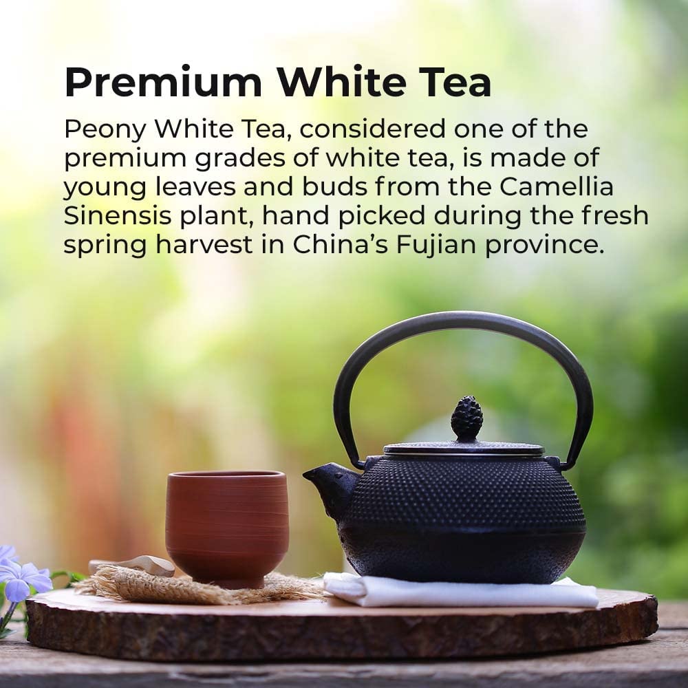 Prince of Peace Premium White Tea, 100 Tea Bags – White Tea Bags – Prince of Peace – White Peony Tea – Camellia Sinensis Tea Bags – Prince of Peace Tea – Premium Grade Tea