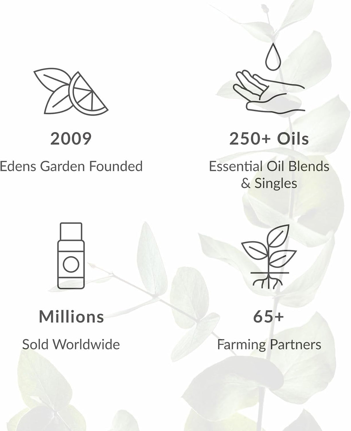 Edens Garden Top Essential Oil Blends Sampler 18 Set – 100% Pure Therapeutic Grade, Natural, Undiluted Aromatherapy Scents for Diffusers & Humidifiers – Wellness Gift for Men & Women, .92 ml/ 18 Pack