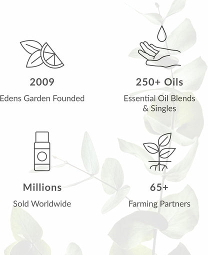 Edens Garden Top Essential Oil Blends Sampler 18 Set – 100% Pure Therapeutic Grade, Natural, Undiluted Aromatherapy Scents for Diffusers & Humidifiers – Wellness Gift for Men & Women, .92 ml/ 18 Pack
