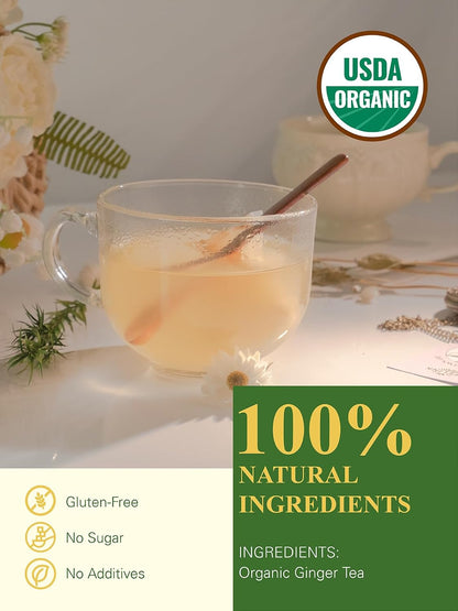 GLDNT Organic Milk Thistle Tea, Natural Organic Milk Thistle Seed Herbal Tea, Mild & Mellow Taste, Caffeine Free, 100 Count