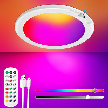 Rechargeable Motion Sensor Ceiling Light, Battery Operated Closet Light