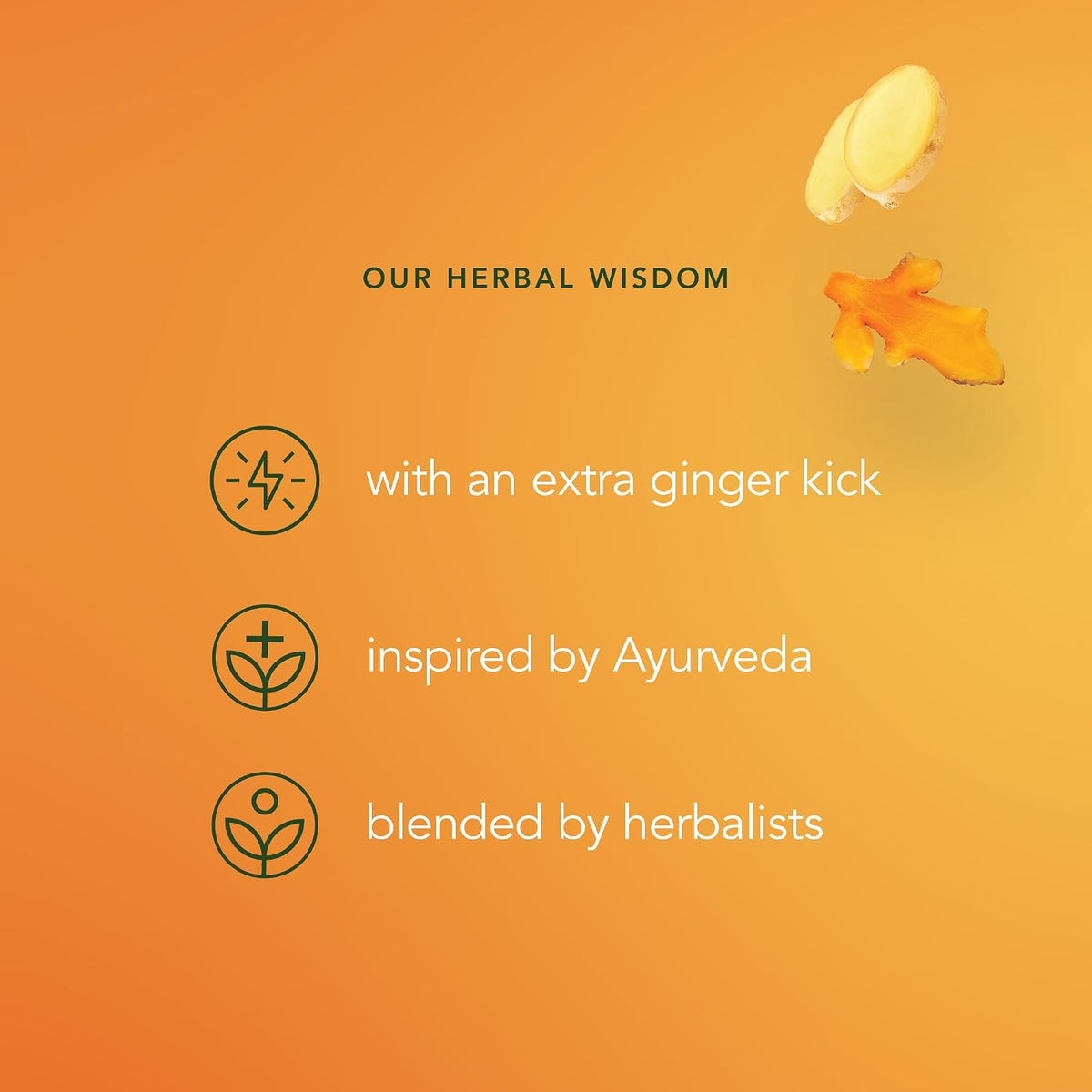 Pukka Three Ginger Organic Herbal Tea Bags 4-Pack Caffeine Free Digestive Wellness Infusion with Turmeric Galangal Licorice for Digestion and Bloating Relief