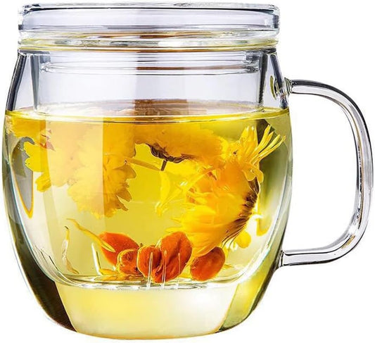 Glass Tea Cup with Infuser and Lid,500ml (17oz) Borosilicate Glass Tea Mugs for Loose Leaf Tea,Glass Tea Cups with Filter for Black Tea,Great Loose Tea-leaf Brewing System