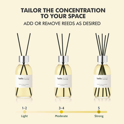 Clesh Reed Diffuser Set, 6.7 oz Eucalyptus Scented Diffuser with Sticks, Home Fragrance Reed Diffuser for Bathroom Shelf Decor