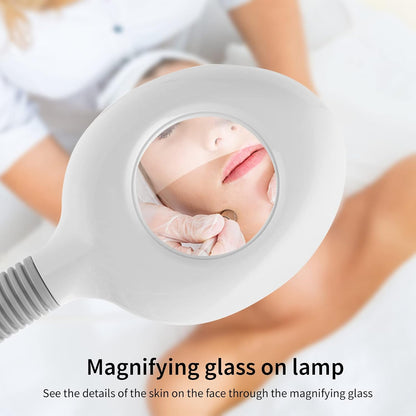 Winado 2 in 1 Facial Steamer with 5X Magnification Light, Deep Cleaning
