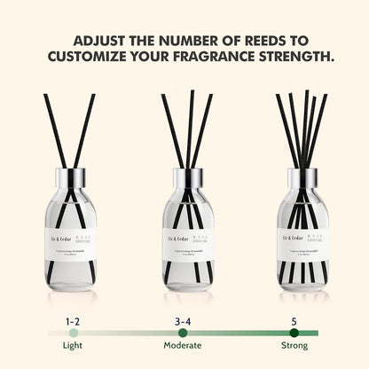 Clesh Reed Diffuser Set, 6.7 oz Eucalyptus Scented Diffuser with Sticks, Home Fragrance Reed Diffuser for Bathroom Shelf Decor