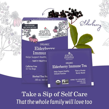 Earth Mama Organic Elderberry Immune Support Tea with Echinacea | Safe For Pregnancy, Breastfeeding, Postpartum, Kids and Family Essentials, Decaf Tea with Ginger & Rooibos, 16-Count (3-Pack)