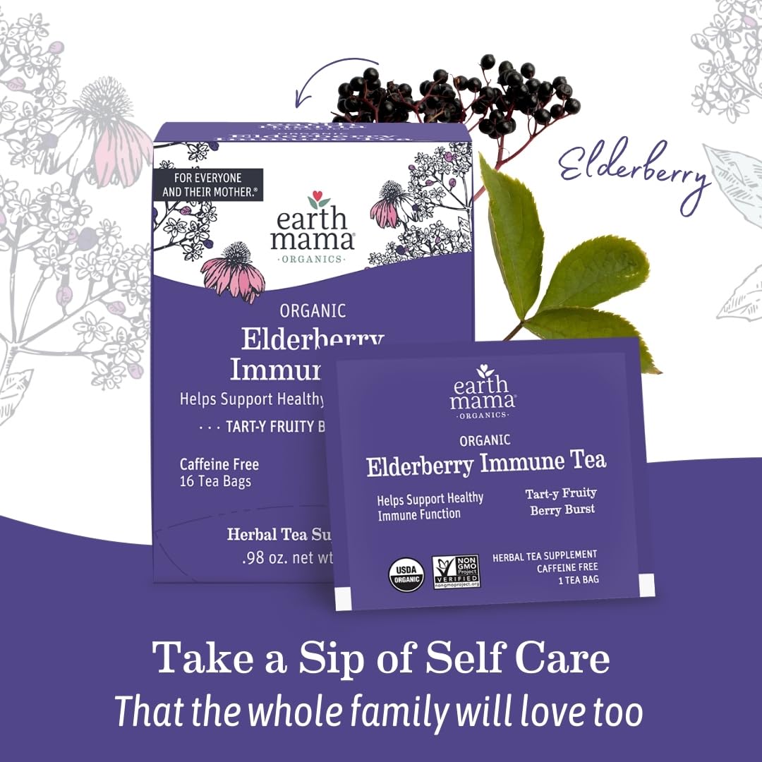 Earth Mama Organic Elderberry Immune Support Tea with Echinacea | Safe For Pregnancy, Breastfeeding, Postpartum, Kids and Family Essentials, Decaf Tea with Ginger & Rooibos, 16-Count (2-Count)