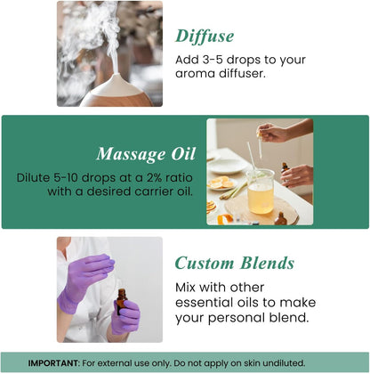 Handcraft Blends Eucalyptus Essential Oil - Huge 4 Fl Oz