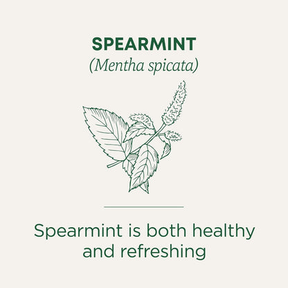 Traditional Medicinals Organic Spearmint, 48 Tea Bags