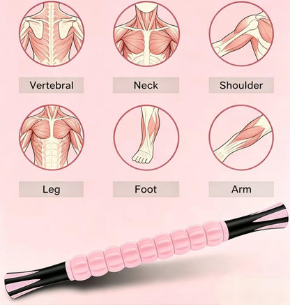 Muscle Roller Stick - A Full-Body Massage Roller that Can Relieve Muscle Soreness, Cramps and Tension After Exercise. It is a Handheld Physical Therapy and Recovery Tool（Black and Purple）