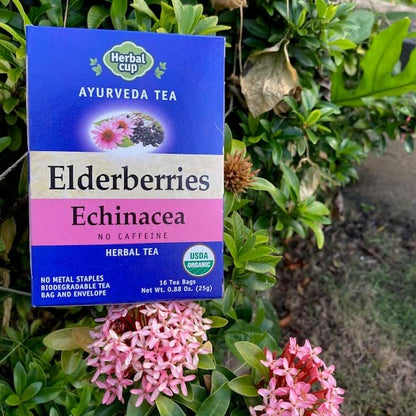 Herbal Cup Ayurveda Elderberries Tea, No Caffeine Organic Herbal Teas (Organic Echinacea, 16 Count (Pack of 6))