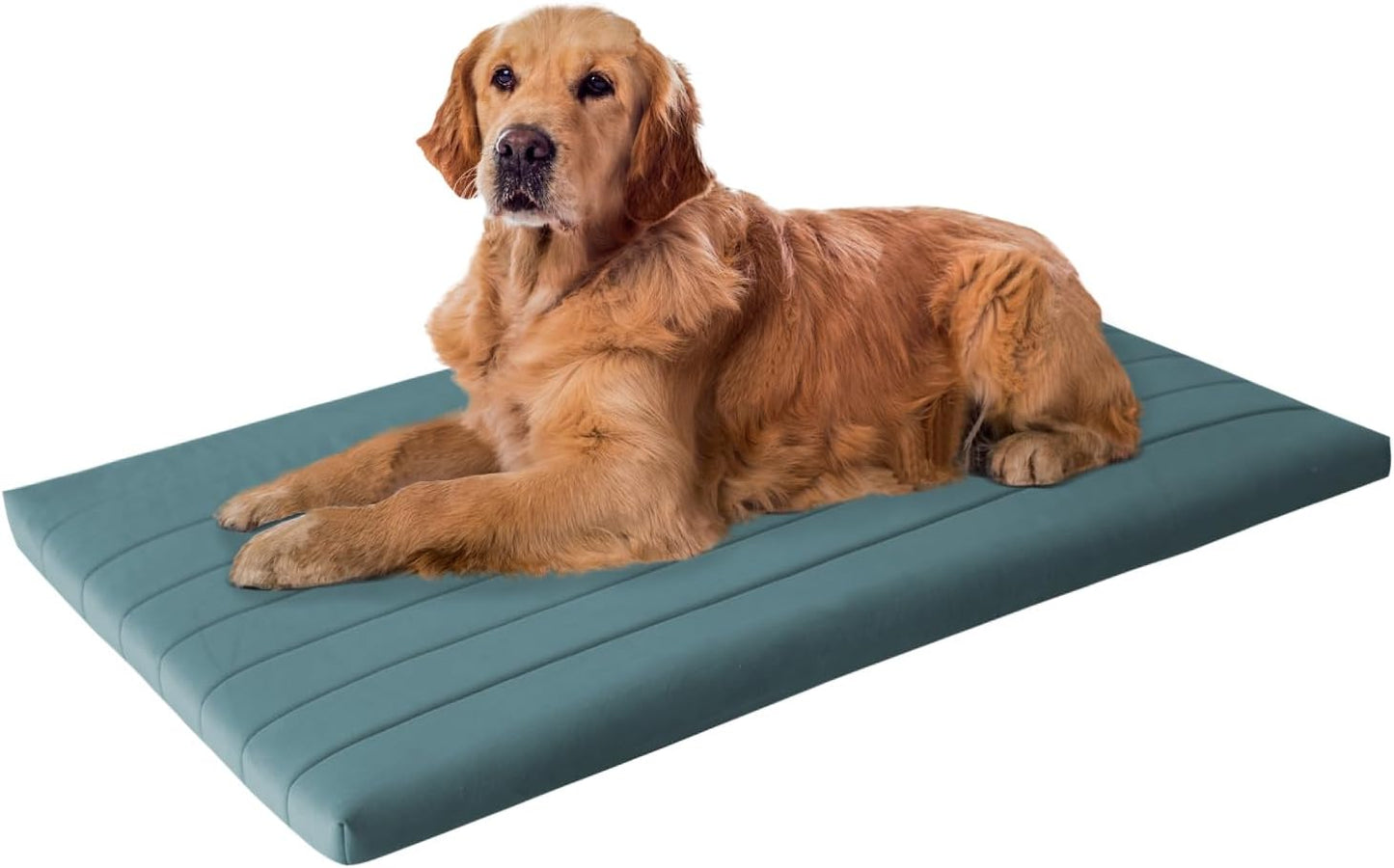 BALANCE Dog Crate Bed, Orthopedic Dog Bed Pad with Waterproof Liner, Washable Crate Foam Pet Mat for Large, Medium, Puppy Dogs Breeds, Mint Leaf, 36“x23”x1.6“