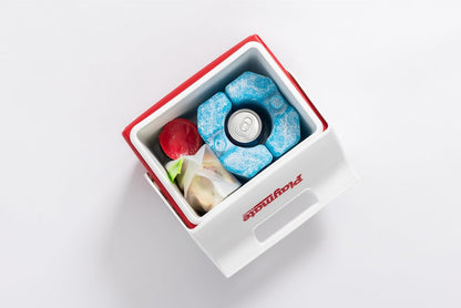Igloo Maxcold Ice Block