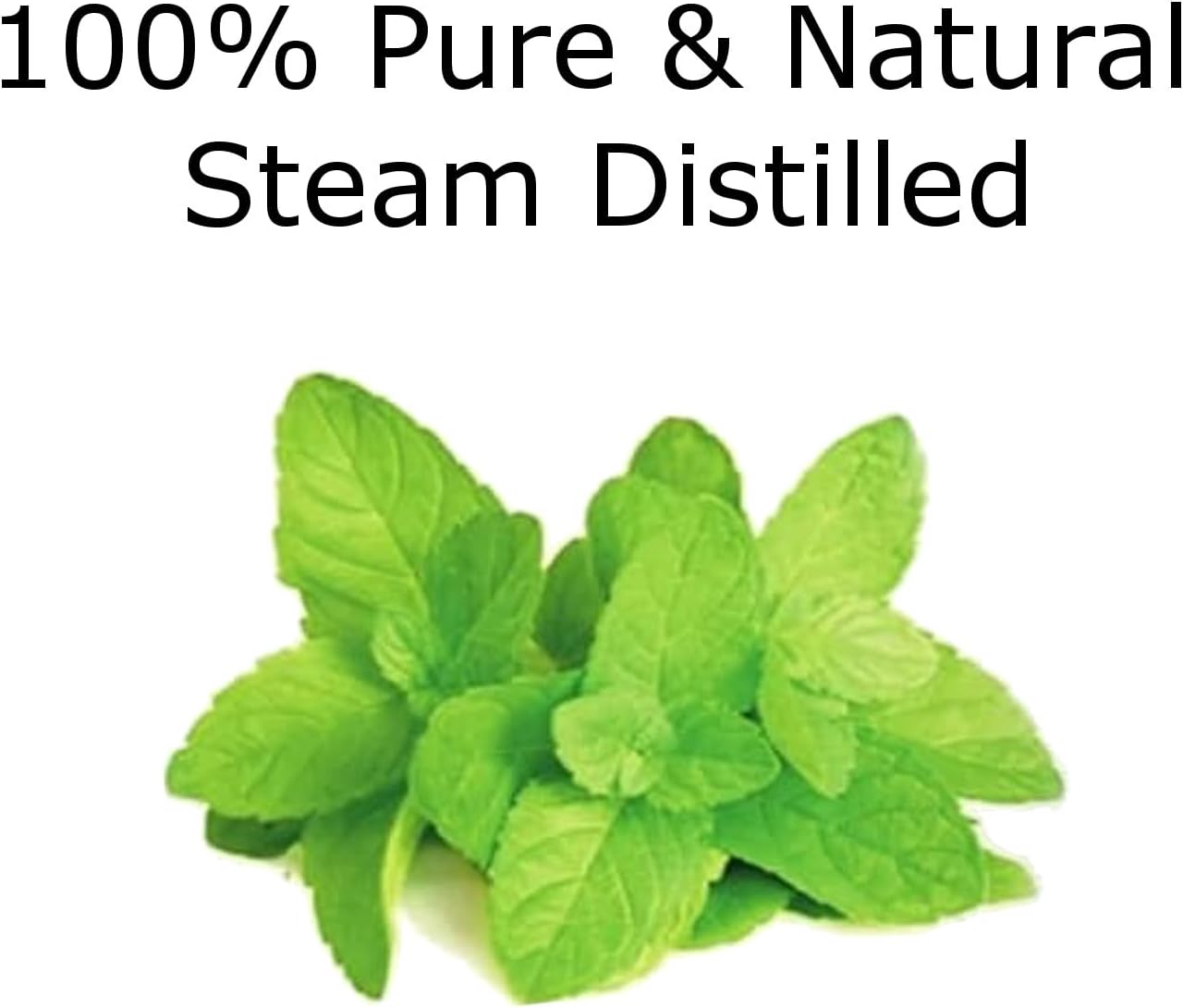 Essentially KateS Lavender Oil – 100% Pure & Natural, Steam-Distilled, with Glass Dropper, Roll-On Bottle & Sprayer for Aromatherapy, Skin & Home Use