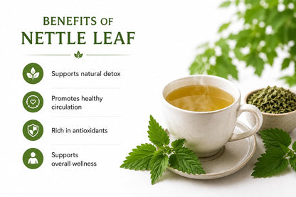 Ecovista Stinging Nettle Leaf 4oz | Dried Nettle Leaves (Urtica Dioica) | Premium Cut & Sifted Herbal Tea | Caffeine-Free | 100% Natural & Pure
