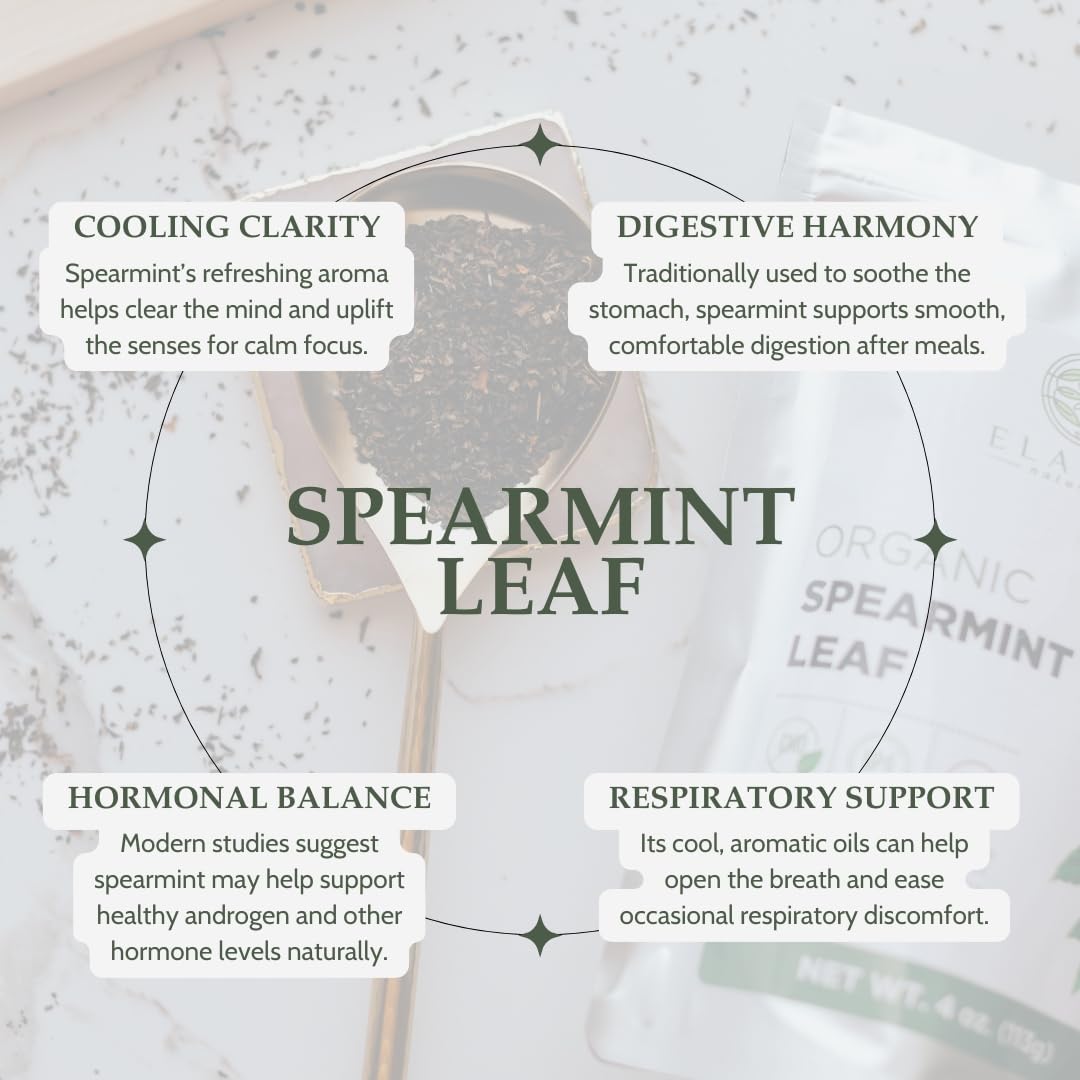Organic Spearmint Leaves 4 oz. (113g), USDA Certified Organic Spearmint Tea Dried Loose Leaf, Dry Mint, Cut & Sifted