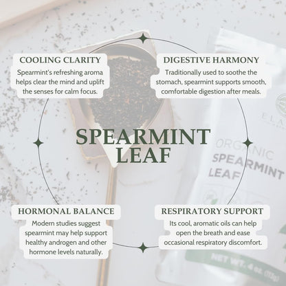 Organic Spearmint Leaves 4 oz. (113g), USDA Certified Organic Spearmint Tea Dried Loose Leaf, Dry Mint, Cut & Sifted