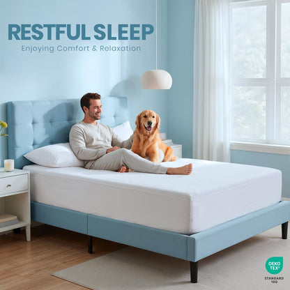Queen Size Mattress Protector Waterproof, Premium 200 GSM Terry Mattress Cover, Soft & Breathable Bed Cover, Fitted Sheet Style Stretchable Deep Pockets 17" by Utopia Bedding (White)