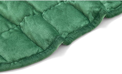 TONGDADA Weighted Lap Blanket 7lbs for Adult,Perfect for Relaxation, Lounging, Napping, Sleeping & Travel,Luxury Minky Weighted Body Blanket,Weighted Throw Blanket-Dark Grey Minky Dot, 29" x 24"