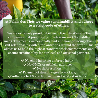 Palais des Thés - Grand Jasmine Chun Feng Green Tea - 3.5 oz Loose Leaf Tin